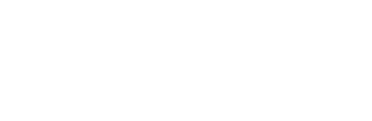 Zapli